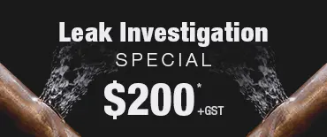 Leak Investigation Discount Clendon Park